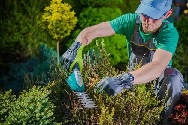 landscaping services Sloatsburg